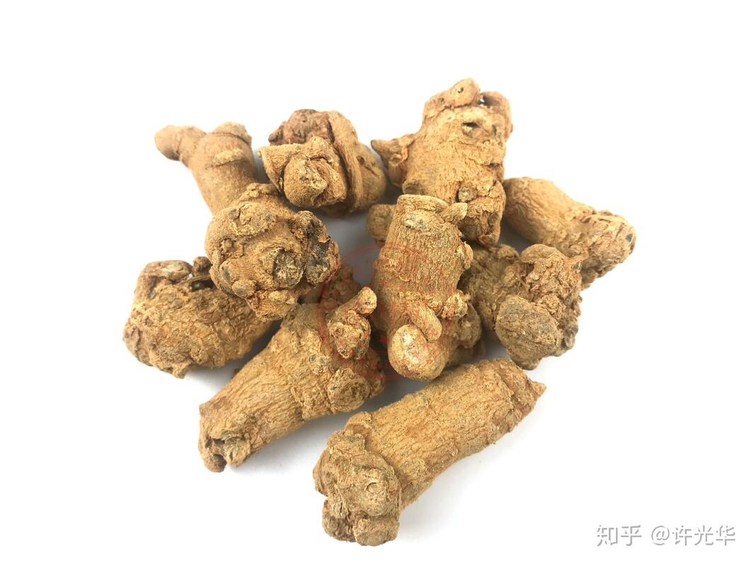 Factory Supply Hemostasis Dietary Supplements 10% 40% 80% Notoginsenosides Panax Notoginseng Root Extract