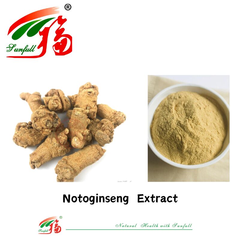 Factory Supply Hemostasis Dietary Supplements 10% 40% 80% Notoginsenosides Panax Notoginseng Root Extract