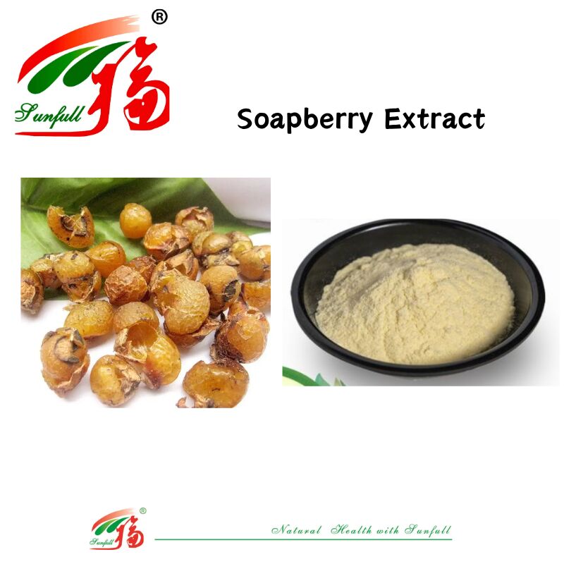 Healthy Natural Soap Cleaning Detergent Skin Care and Hair Care 40%-70% Saponins Soapberry Extract
