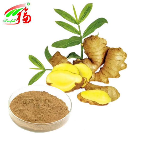 Ginger Extract Ginger Root Extract Gingerols 10% 5% 1% Digestive Comfort Respiratory Support and Joint Mobility