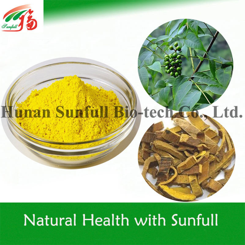 Antibacterial Extract Berberine hcl Yellow Crystalline Powder from Berberis species (Barberry) with CAS No. 633-65-8