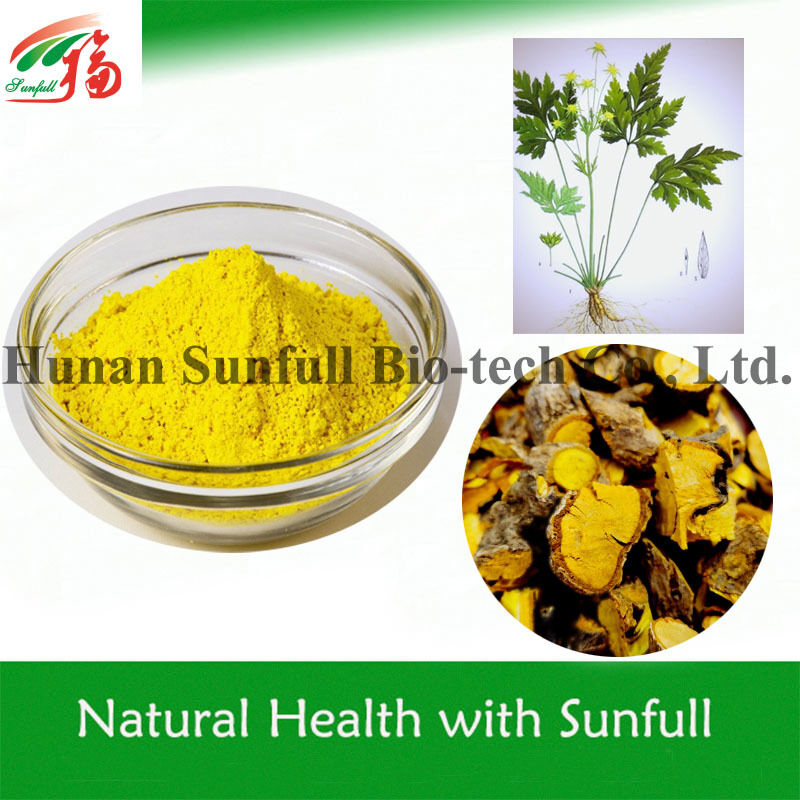 100% Natural Berberine hcl 97% 98% from Coptis chinensis Root with CAS No. 633-65-8
