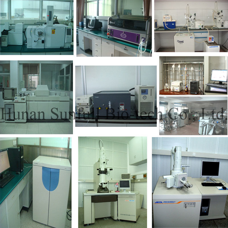Eucommia Leaf Extract 5%-99% Chlorogenic Acid in Stock CAS 327-97-9