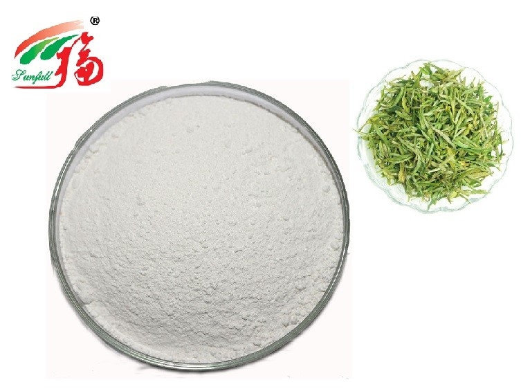 EGCG Natural Green Tea Supplements Extract HPLC For Antioxidant