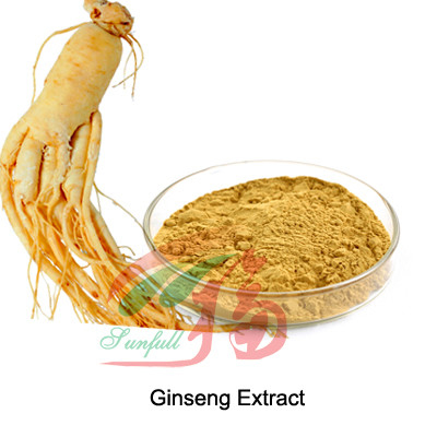 5% - 80% Ginsenosides Ginseng Root Extract Supplement For Cosmetic