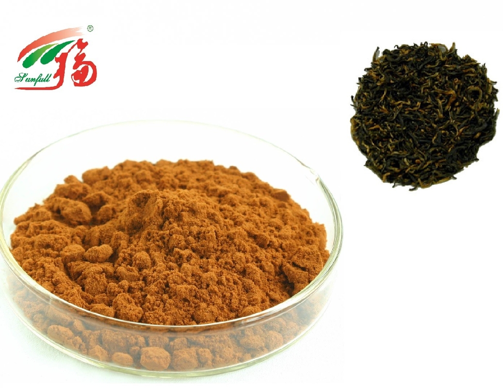20% - 60% Theaflavins Black Tea Extract Powder For Lowering Blood Fat