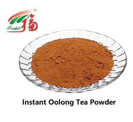 20% Polyphenols Instant Oolong Tea Pu Erh Powder For Beverage