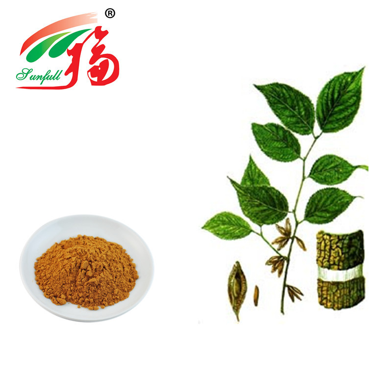 Animal Feed Natural Herb Supplement Extract Eucommia Ulmoides Chlorogenic Acid