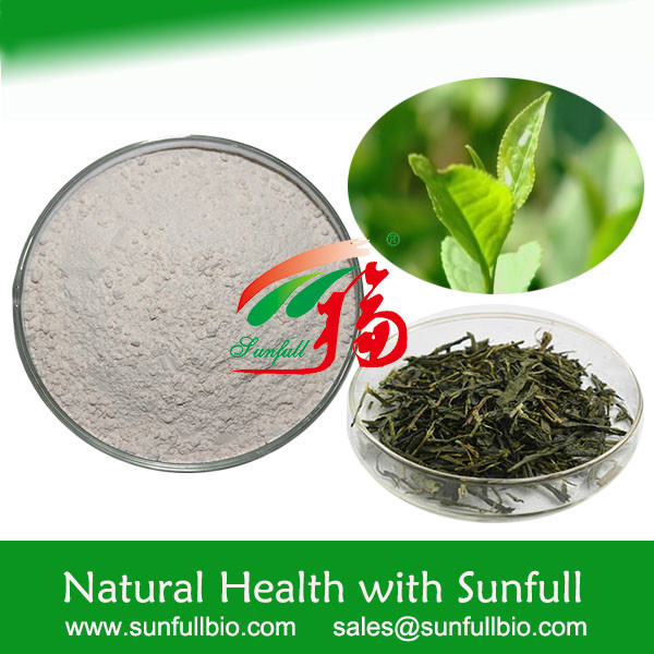 90% EGC Active Pharmaceutical Ingredient Epigallocatechin Camellia Green Tea Extract