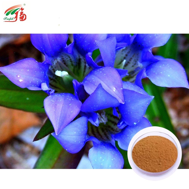 10:1 Herbal Extract Powder Gentiopicroside Health Gentian Supplement