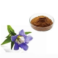Scabra Gentian Root Extract Powder 40% Gentiopicroside Functional Food