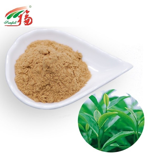Instant Oolong Tea Green Tea Extract Powder 20% Polyphenols For Beverage