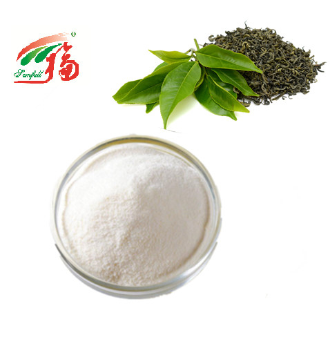 KOSHER Green Tea Extract Powder 98% EGCG Epigallocatechin Gallate For Cosmetics