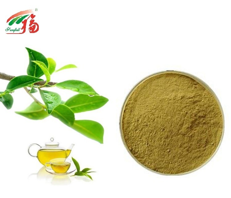 Natural Green Tea Extract Powder 30% L Theanine For Pharmaceutical