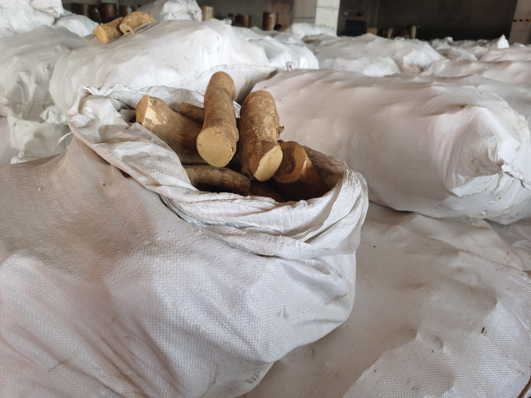 0.5% Eurycomanone Extract Eurycoma longifolia Root Extract Powder For Anti Pyretic Activity