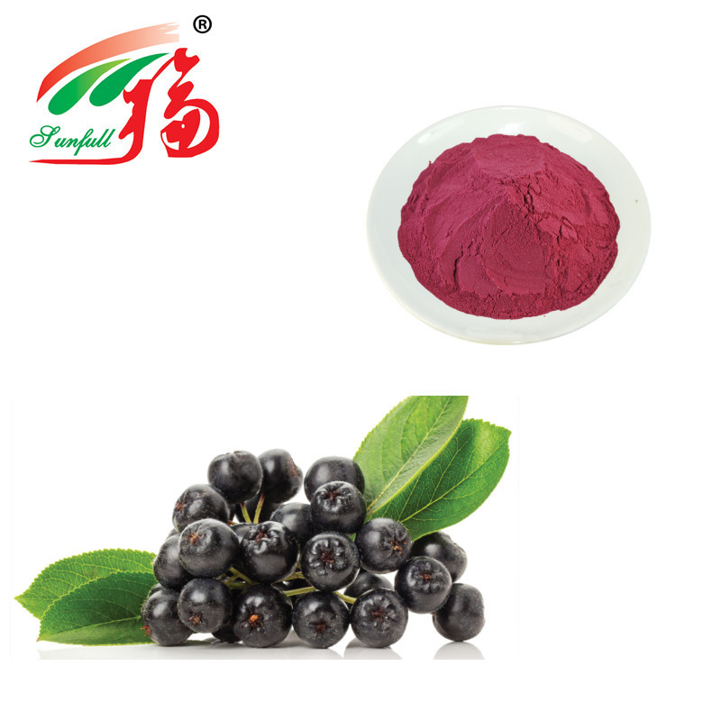 Aronia Extract Vegetable Fruit Powder With Anthocyanins Polyphenols Flavonoids