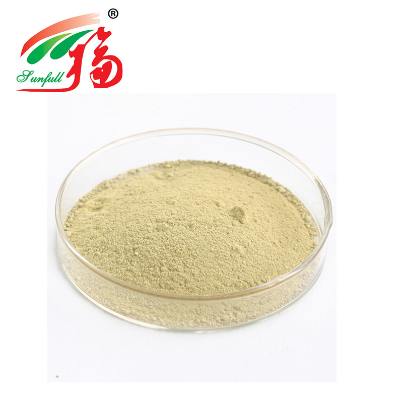 5% Ginsenosides UV Ginseng Extract Powder Herbal For Dietary Supplements