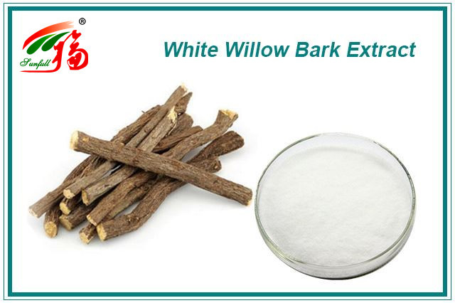15% - 98% Salicin White Willow Bark Extract Powder For Cosmetics
