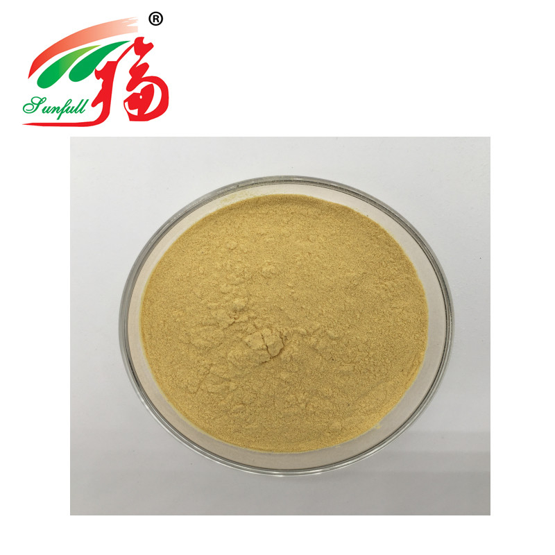 Yellow Root Ginseng Extract Powder 5% Ginsenosides For Dietary Supplements