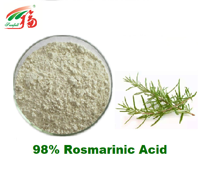 98% Rosmarinic Acid Natural Rosemary Extract Supplement For Antioxidant