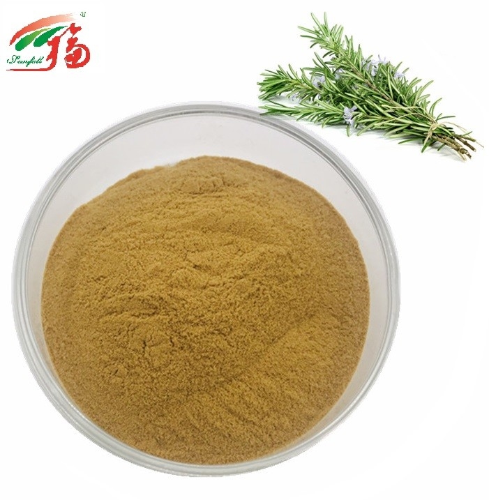 brown Rosemary Extract Powder Carnosic Acid HPLC For Healthy Food