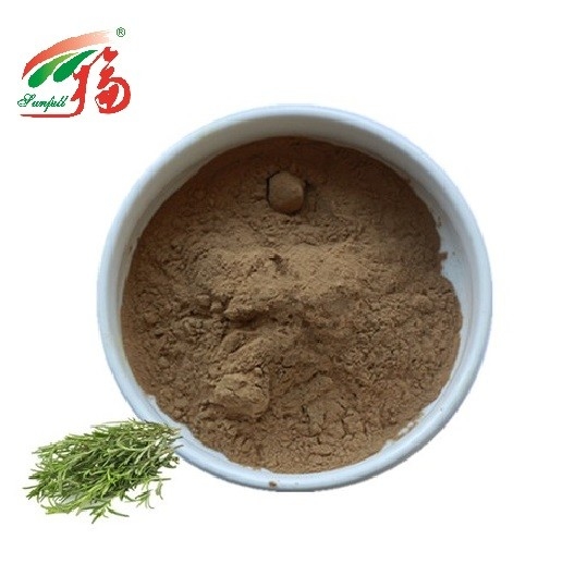 Antioxidant Rosemary Extract Powder Rosmarinic Acid HPLC For Food Additive