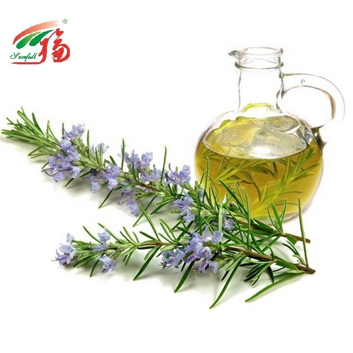 Herb Rosemary Essential Oil Extract 20% Carnosic Acid For Healthy Products