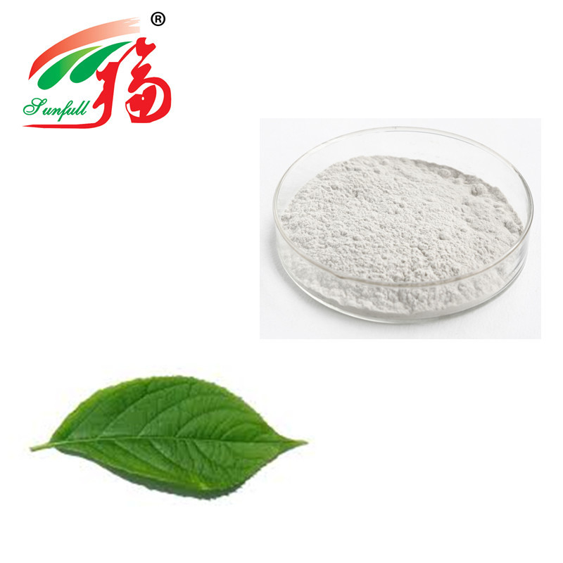 Chlorogenic Acid Eucommia Ulmoides Bark Extract Leaf Herbal Powder For Weight Loss