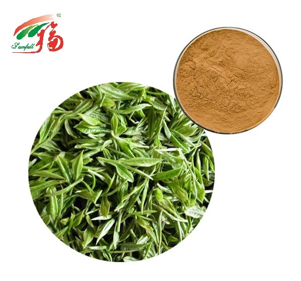 30 98 Polyphenols Green Tea Extract Powder Catechins Supplement