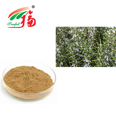 Rosemary Extract 30% Rosmarinic Acid For Anti Aging Rosmarinus Officinalis