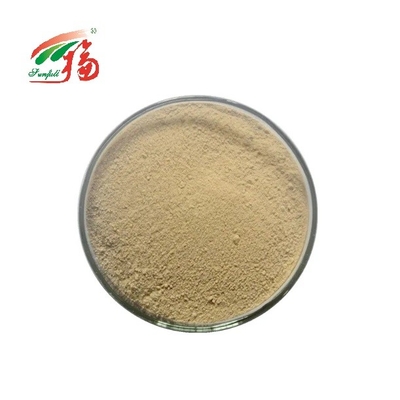 Herbal Extract Powder Gentian Root Extract 10%-80% HPLC Gentiopicroside