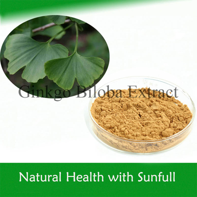 100% Natural Ginkgo Biloba Extract Lower Blood Pressure Pharmaceutical Grade
