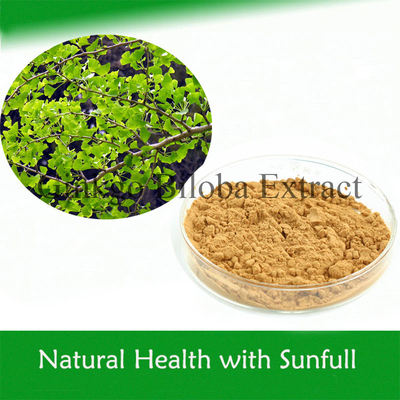 Effective Herbal Plant Extract Ginkgo Biloba Extract For Tinnitus Preventing And Treating Cardiovascular Disease