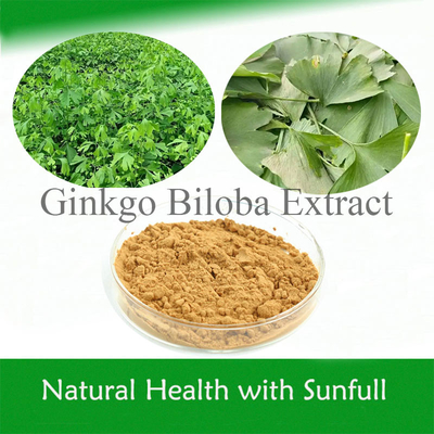 Ginkgo Biloba P.E. 24% Total Flavones 6% Terpene Lactones 5ppm for Heart Health