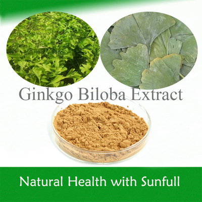 Ginkgo Biloba Leaf Extract 24/6 CAS 90045-36-6 Cp USP561 Ep EC396