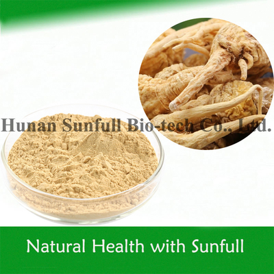 Mens Plant Health Food Maca Extract for Nourishing (Lepidium meyenii Walp)