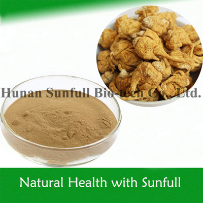 Fine Yellow Brown Powder Maca Root Extract From Lepidium Meyenii Walp Botanical Resource