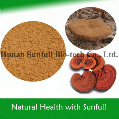 Reishi Mushroom Extract Polysaccharides and Triterpenoids for Optimal Wellness