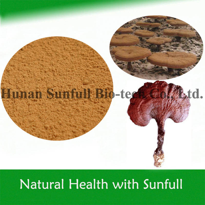 Reishi Mushroom Extract with Polysaccharides Triterpenoids to Improve Immunity