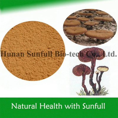 Organic Mushroom Polysaccharide Reishi Mushroom Extract for Health Food