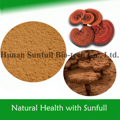 High Quality Health Food Ganoderma Lucidum Extract Reishi Powder