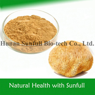 Food Grade Mushroom Polysaccharide Hericium Erinaceus Extract for Natural Wellness