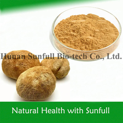 Natural Food Additive Monkey Head Mushroom Lion′ S Mane Extract 10% 30% Polysaccharides