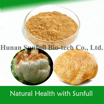 Organic Hericium Erinaceus Powder Lion's Mane Extract for Health Food