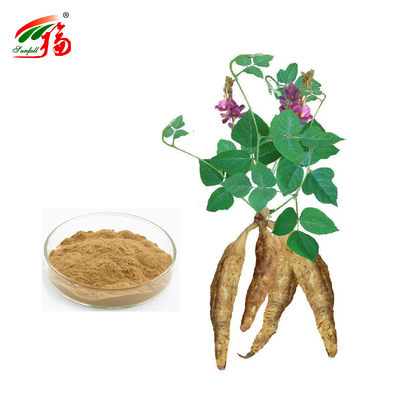 China Factory Natural Kudzu Root Extract Puerarin With 25% 60% 98% For Option