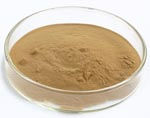 Fine Brown Yellow Maitake Mushroom Extract Powder with 50% Polysaccharides for Tablet and Capsule Application to Enhance Immunity