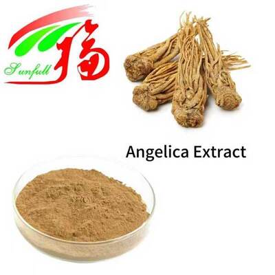 Angelica Extract  1% 1.5% Liguistlide 0.1% 0.3% Ferulic Acid Chinese Dong Quai Extract