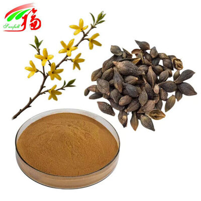Forsythia Extract Powder Phillyrin Forsythia Suspensa Extract