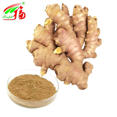 Ginger Extract Ginger Root Extract Gingerols 10% 5% 1% Digestive Comfort Respiratory Support and Joint Mobility