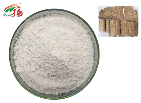 Eucommia Ulmoides Plant Extract Powder 98% Chlorogenic Acid For Lower Back Pain